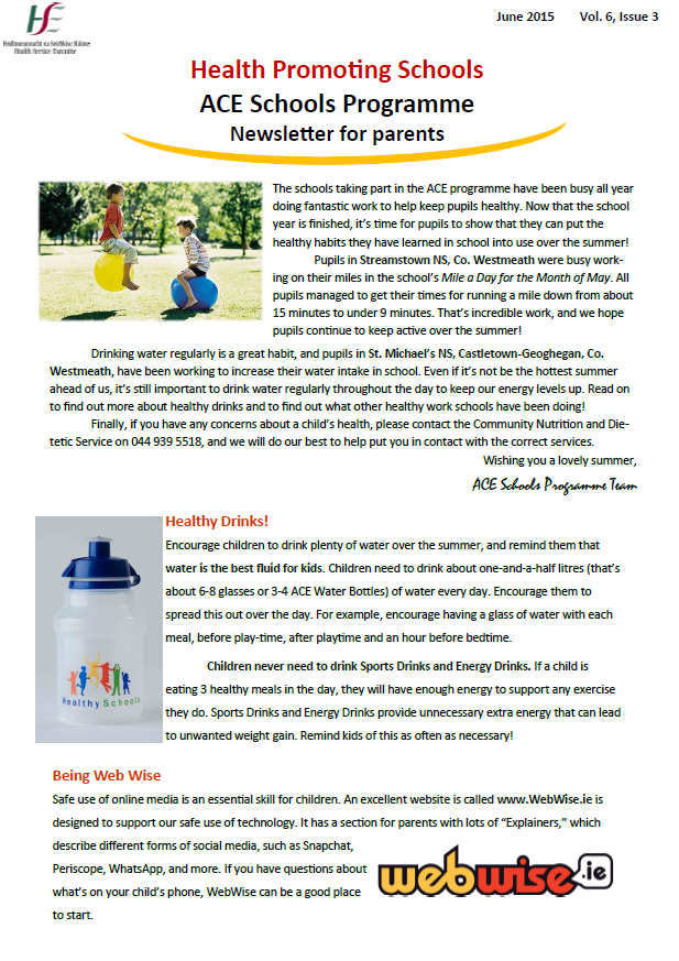 ACE Schools Programme Newsletter