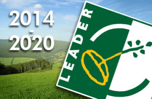 leader2014 2020