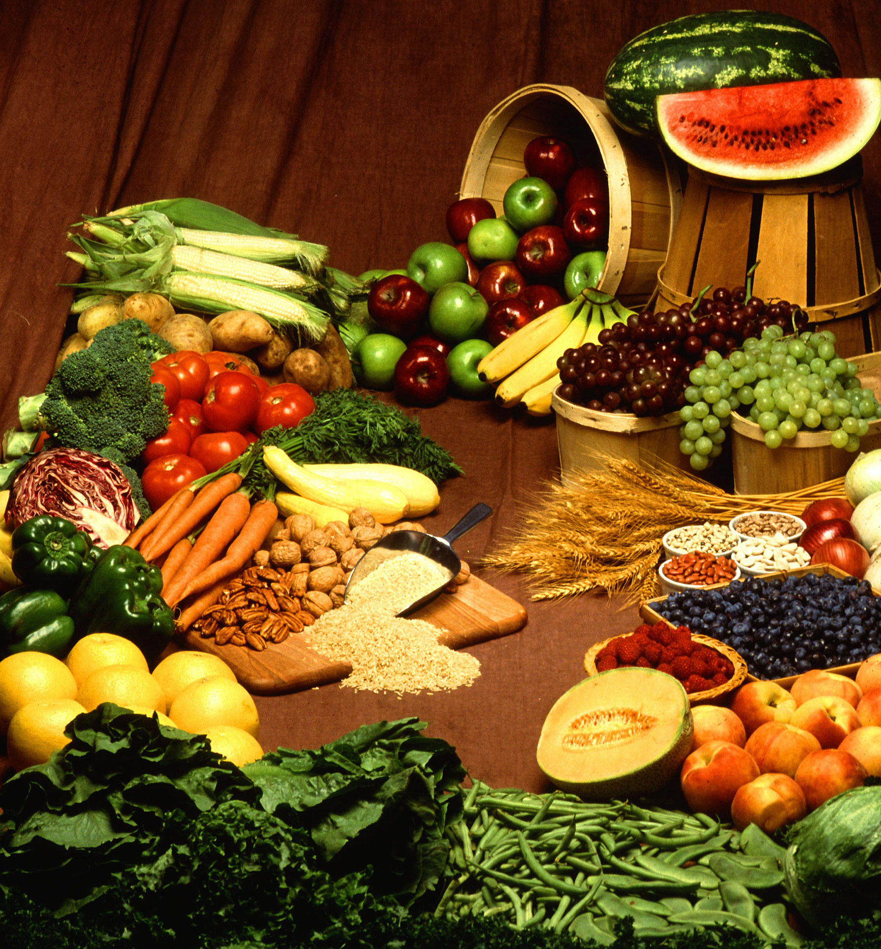 Food Networking Event – March 5th & 20th